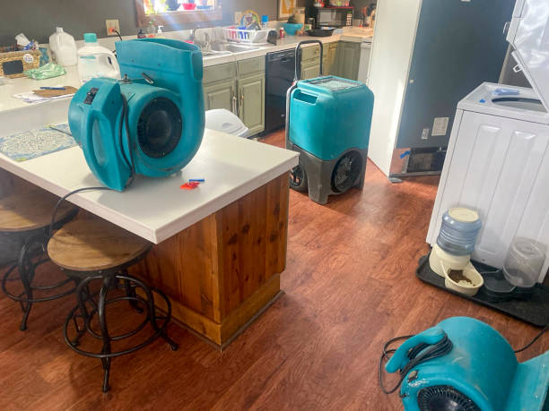 Best 24-hour water damage restoration  in Reno, NV