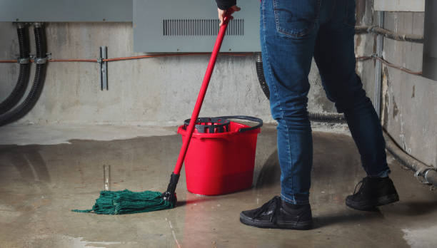 Best Commercial water damage restoration  in Reno, NV