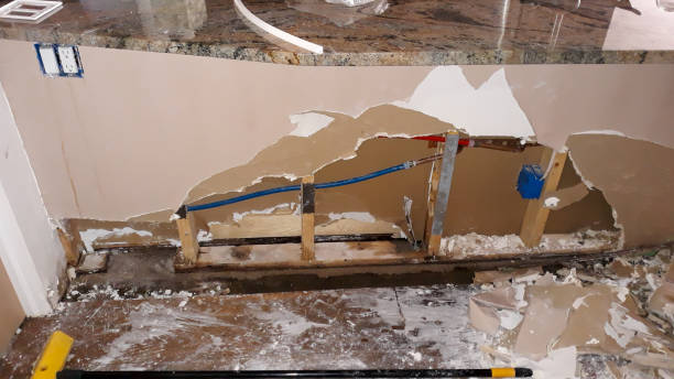 Best Flood damage cleanup  in Reno, NV