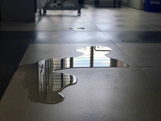 Best Emergency water damage restoration  in Reno, NV