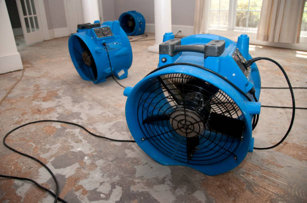 Best Mold removal after water damage  in Reno, NV
