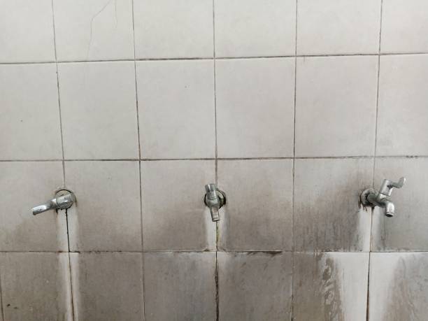 Best Water damage restoration near me  in Reno, NV
