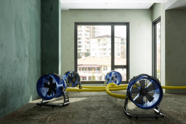 Best Fire Damage Restoration  in Reno, NV