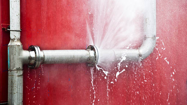 Best Flooded house restoration  in Reno, NV
