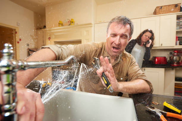 Best Flood restoration services  in Reno, NV